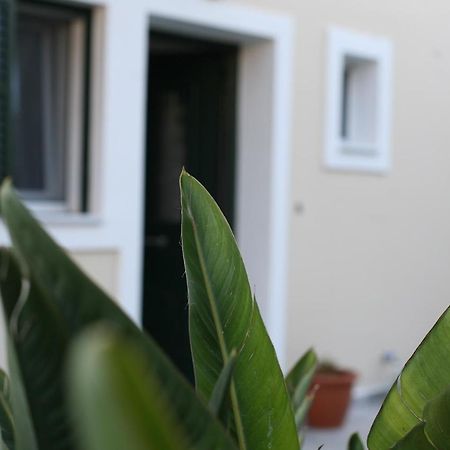 Αεράκι Διαμέρισμα Λευκάδα Εξωτερικό φωτογραφία